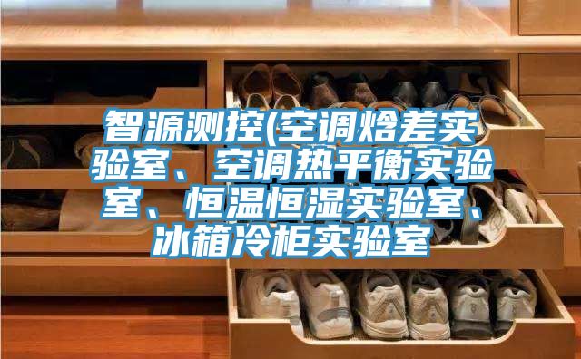 智源测控(空调焓差实验室、空调热平衡实验室、恒温恒湿实验室、冰箱冷柜实验室