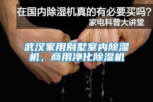 武汉家用别墅室内辣椒视频APP下载并安装，商用净化辣椒视频APP下载并安装