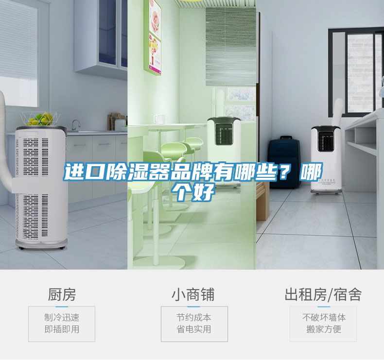 进口除湿器品牌有哪些？哪个好
