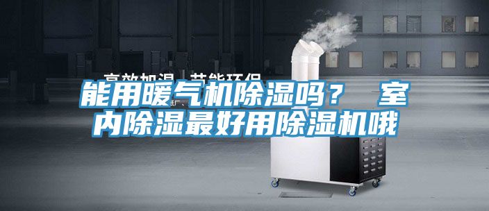 能用暖气机除湿吗？ 室内除湿最好用辣椒视频APP下载并安装哦