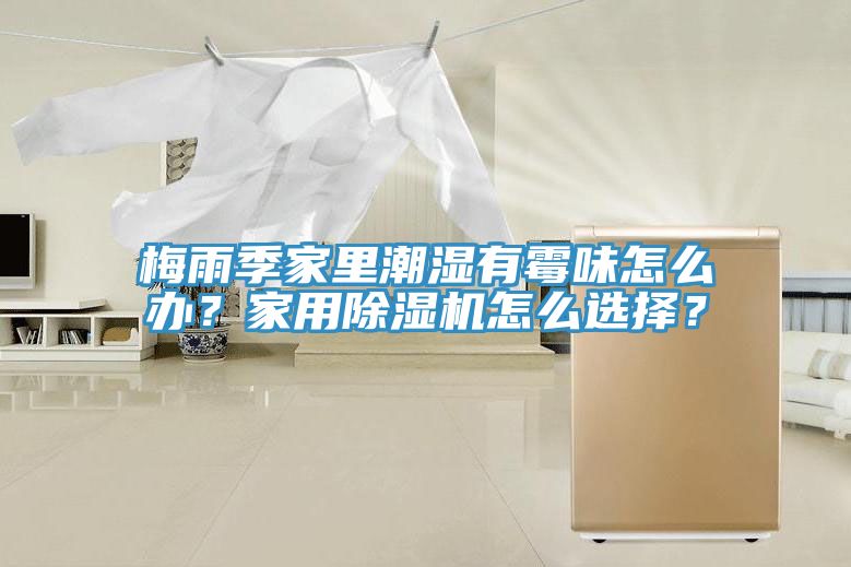 梅雨季家里潮湿有霉味怎么办？家用辣椒视频APP下载并安装怎么选择？