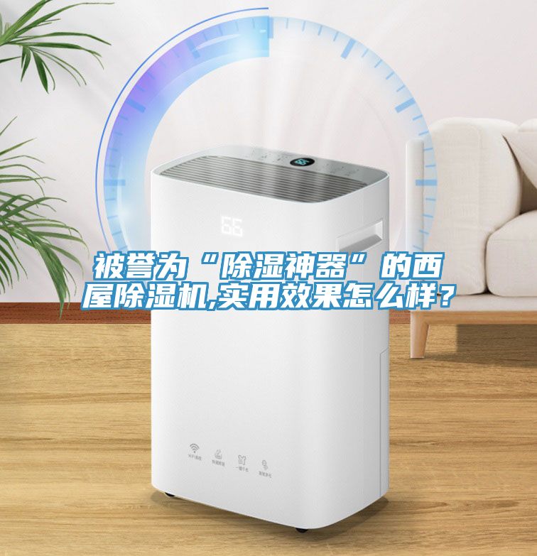 被誉为“除湿神器”的西屋辣椒视频APP下载并安装,实用效果怎么样？