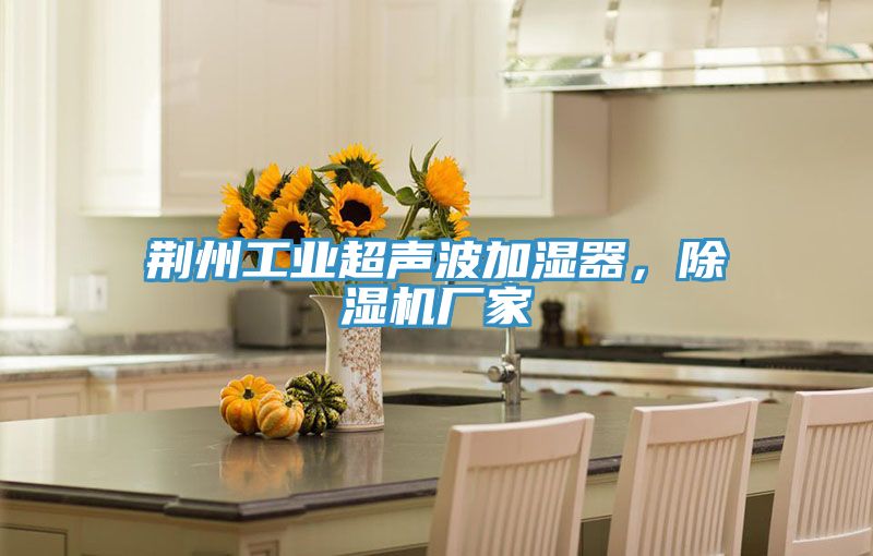 荆州工业超声波加湿器，辣椒视频APP下载并安装厂家