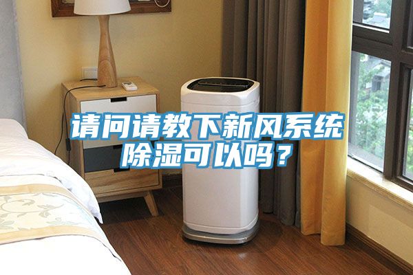 请问请教下新风系统除湿可以吗？