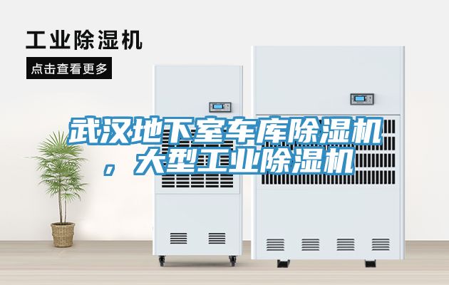 武汉地下室车库辣椒视频APP下载并安装，大型工业辣椒视频APP下载并安装