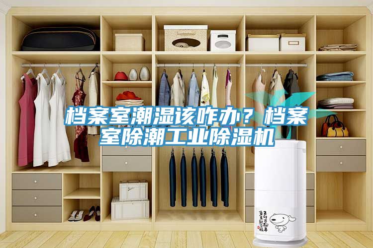 档案室潮湿该咋办？档案室除潮工业辣椒视频APP下载并安装