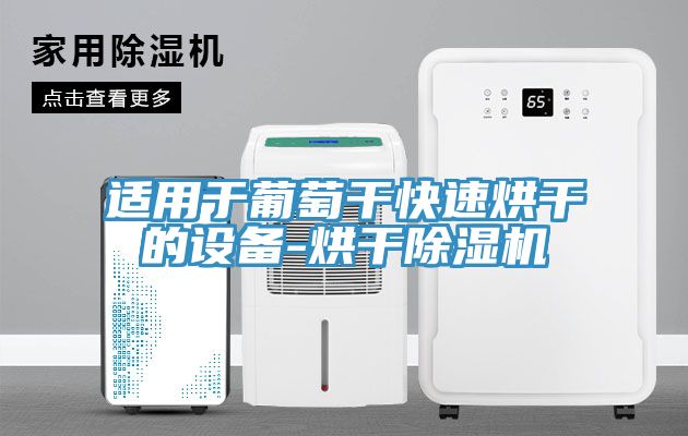 适用于葡萄干快速烘干的设备-烘干辣椒视频APP下载并安装