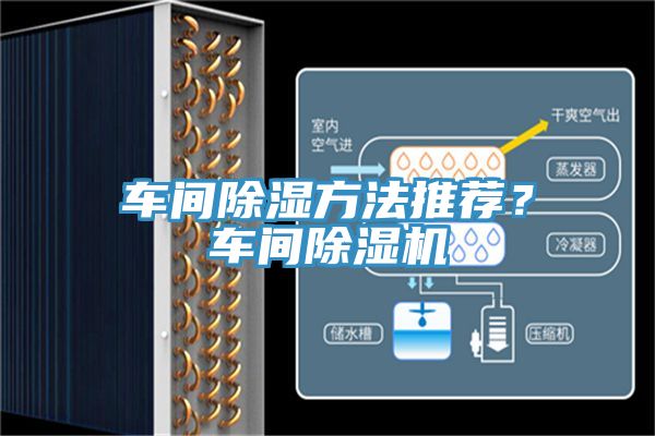 车间除湿方法推荐？车间辣椒视频APP下载并安装