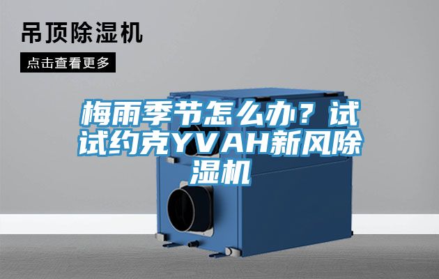 梅雨季节怎么办？试试约克YVAH新风辣椒视频APP下载并安装