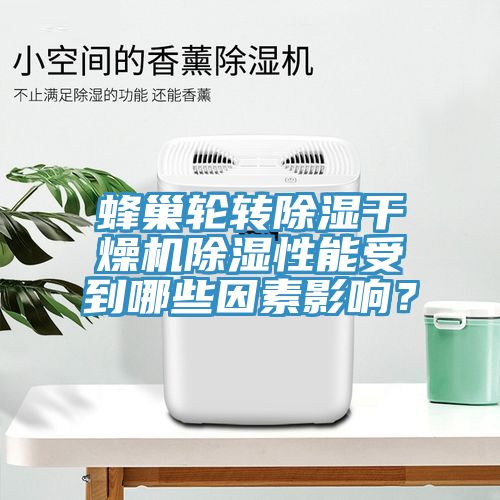 蜂巢轮转除湿干燥机除湿性能受到哪些因素影响？