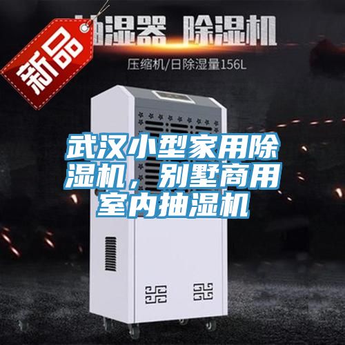 武汉小型家用辣椒视频APP下载并安装，别墅商用室内抽湿机