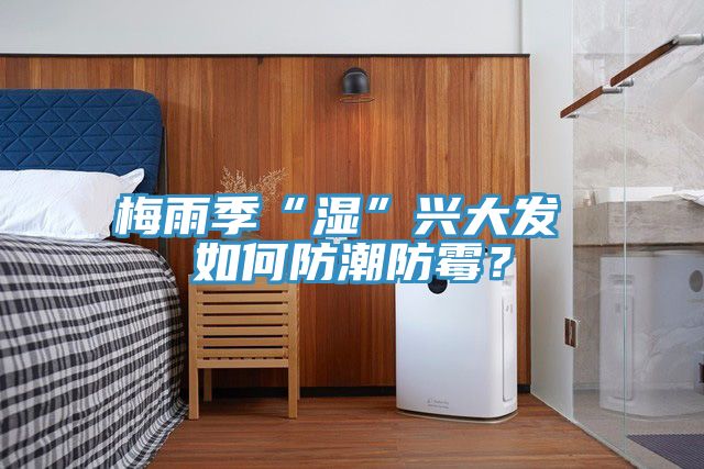梅雨季“湿”兴大发 如何防潮防霉？