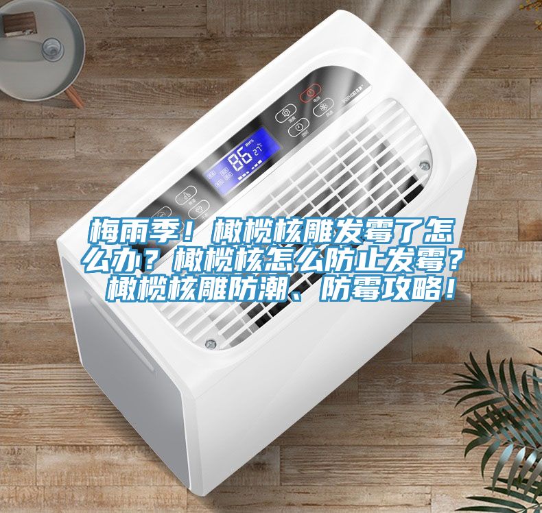 梅雨季！橄榄核雕发霉了怎么办？橄榄核怎么防止发霉？ 橄榄核雕防潮、防霉攻略！