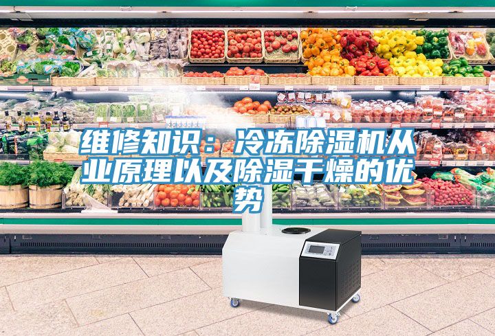 维修知识：冷冻辣椒视频APP下载并安装从业原理以及除湿干燥的优势