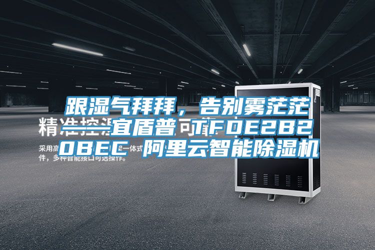 跟湿气拜拜，告别雾茫茫——宜盾普 TFDE2B20BEC 阿里云智能辣椒视频APP下载并安装