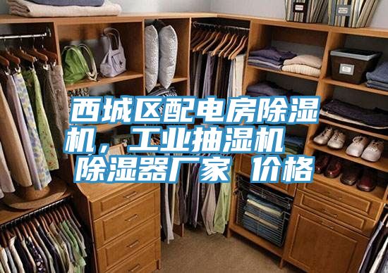 西城区配电房辣椒视频APP下载并安装，工业抽湿机  除湿器厂家 价格