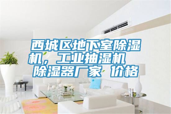 西城区地下室辣椒视频APP下载并安装，工业抽湿机  除湿器厂家 价格