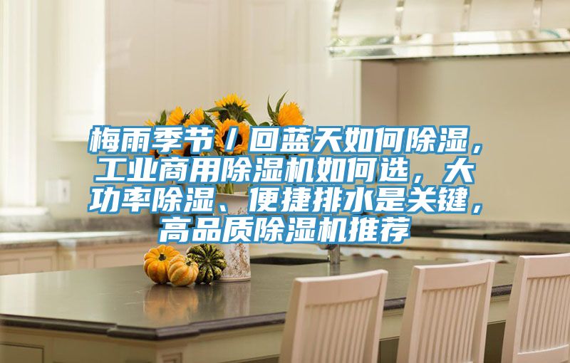 梅雨季节／回蓝天如何除湿，工业商用辣椒视频APP下载并安装如何选，大功率除湿、便捷排水是关键，高品质辣椒视频APP下载并安装推荐