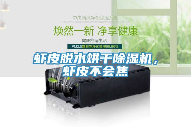 虾皮脱水烘干辣椒视频APP下载并安装，虾皮不会焦