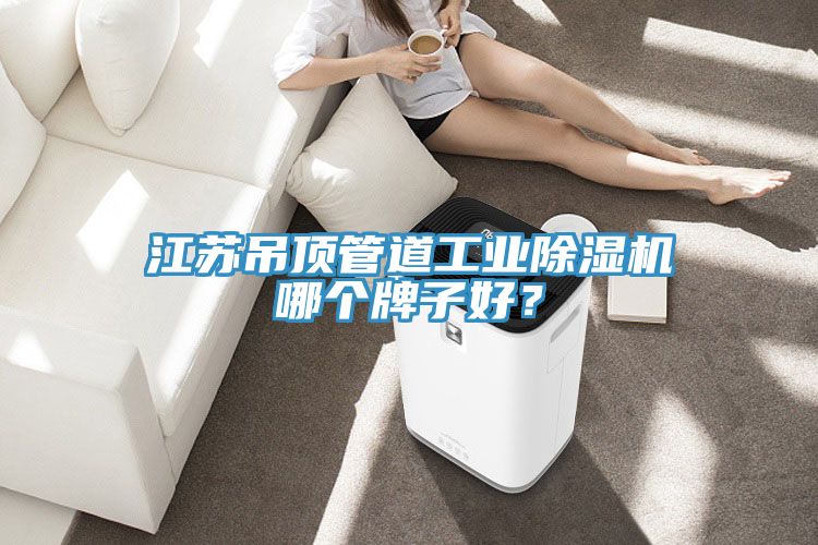 江苏吊顶管道工业辣椒视频APP下载并安装哪个牌子好？