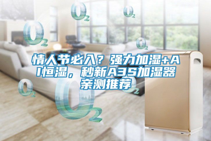 情人节必入？强力加湿+AI恒湿，秒新A3S加湿器亲测推荐
