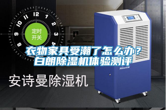 衣物家具受潮了怎么办？白朗辣椒视频APP下载并安装体验测评