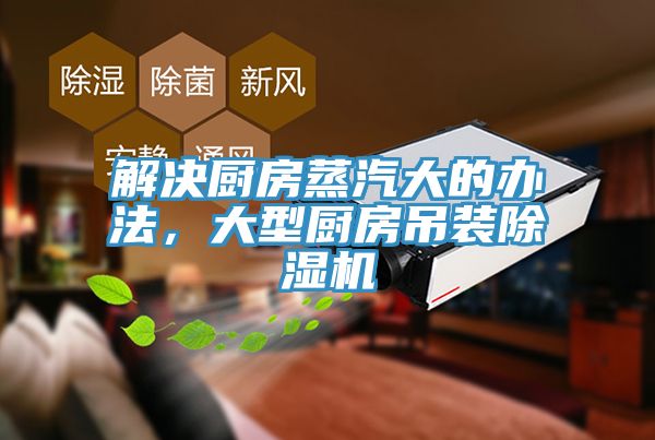 解决厨房蒸汽大的办法，大型厨房吊装辣椒视频APP下载并安装