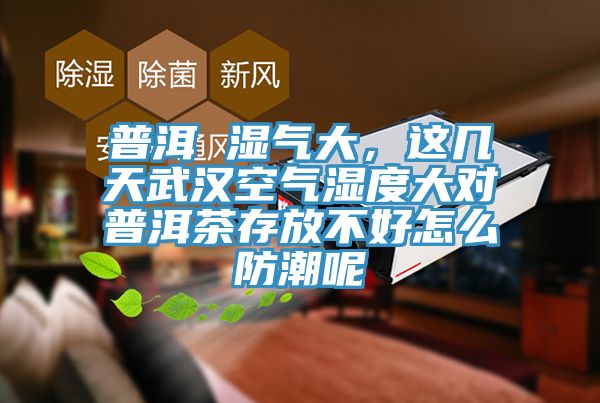 普洱 湿气大，这几天武汉空气湿度大对普洱茶存放不好怎么防潮呢