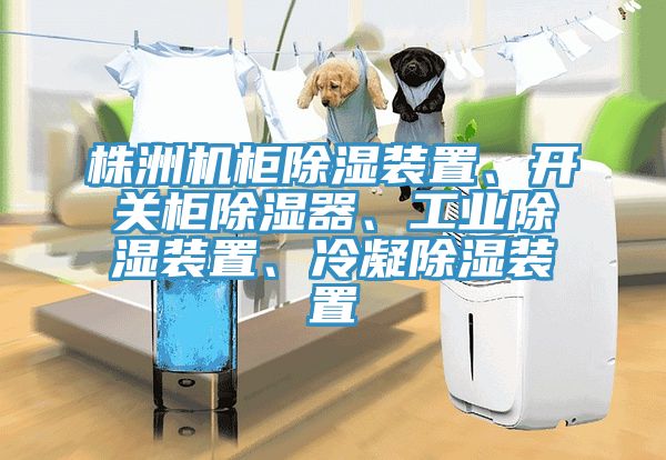 株洲机柜除湿装置、开关柜除湿器、工业除湿装置、冷凝除湿装置