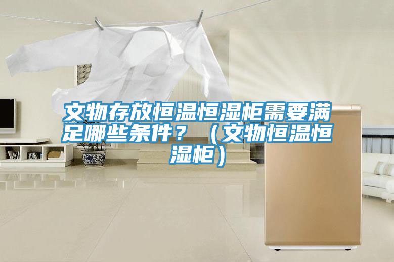 文物存放恒温恒湿柜需要满足哪些条件？（文物恒温恒湿柜）