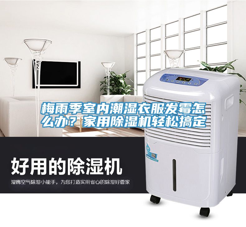 梅雨季室内潮湿衣服发霉怎么办？家用辣椒视频APP下载并安装轻松搞定