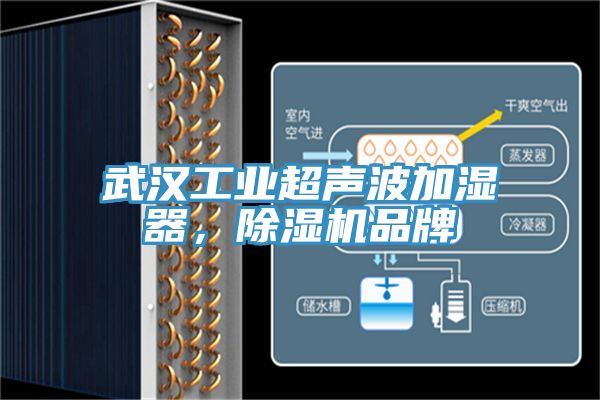 武汉工业超声波加湿器，辣椒视频APP下载并安装品牌