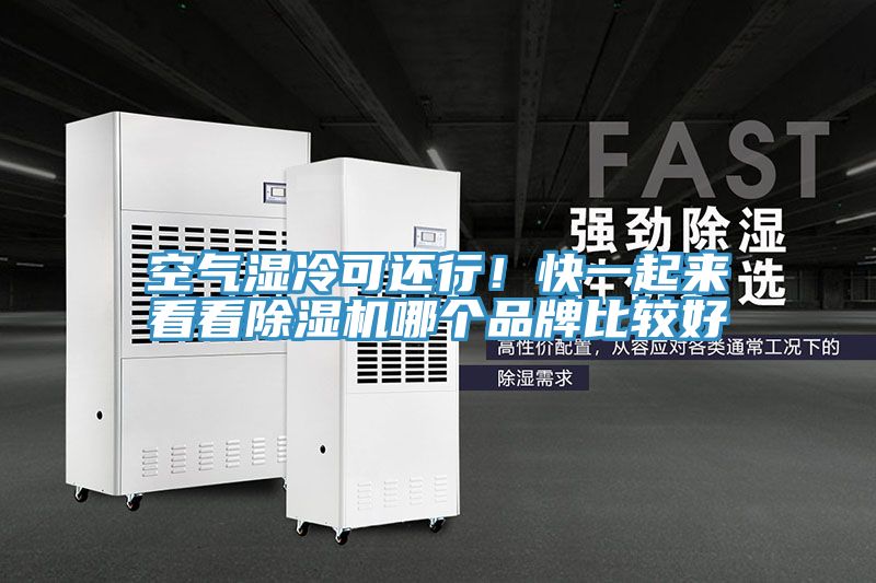 空气湿冷可还行！快一起来看看辣椒视频APP下载并安装哪个品牌比较好
