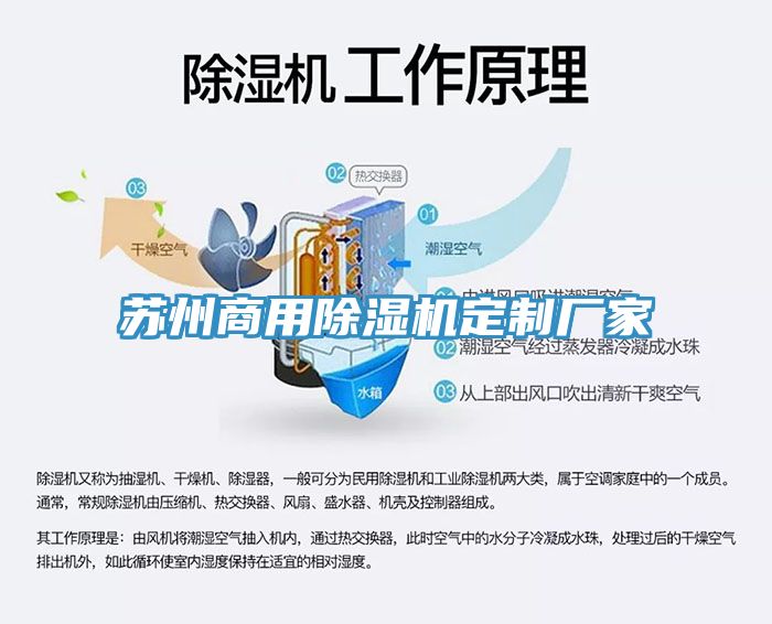 苏州商用辣椒视频APP下载并安装定制厂家