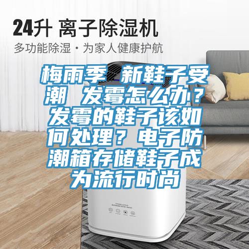 梅雨季 新鞋子受潮 发霉怎么办？发霉的鞋子该如何处理？电子防潮箱存储鞋子成为流行时尚