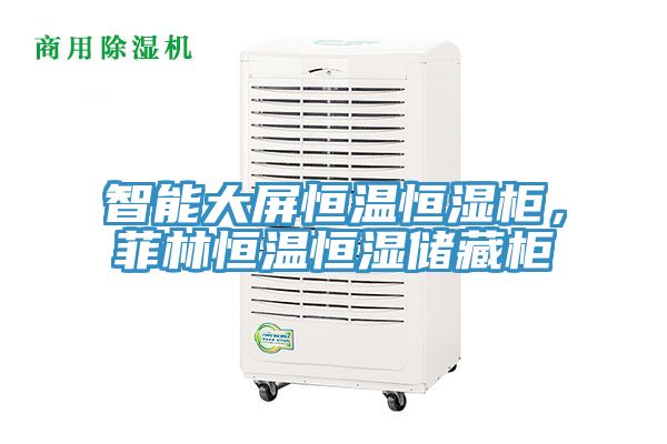 智能大屏恒温恒湿柜，菲林恒温恒湿储藏柜