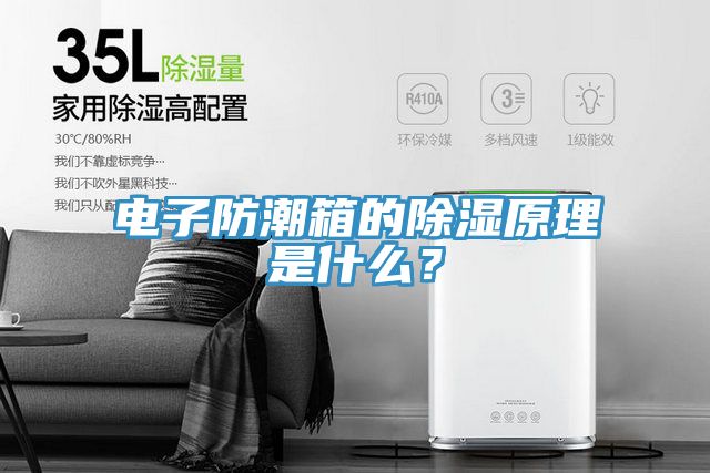 电子防潮箱的除湿原理是什么？