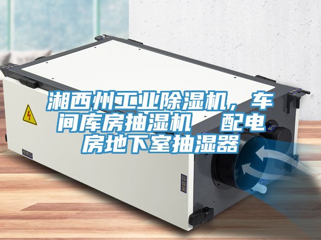 湘西州工业辣椒视频APP下载并安装，车间库房抽湿机  配电房地下室抽湿器
