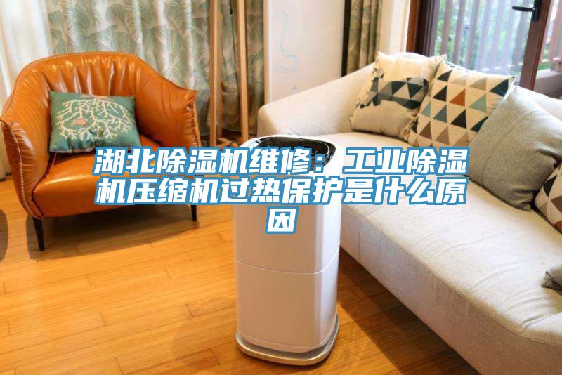湖北辣椒视频APP下载并安装维修：工业辣椒视频APP下载并安装压缩机过热保护是什么原因