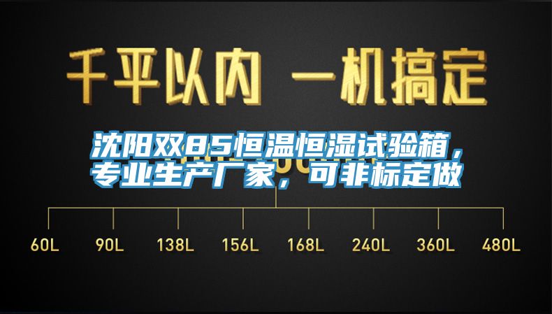 沈阳双85恒温恒湿试验箱，专业生产厂家，可非标定做