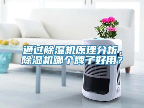 通过辣椒视频APP下载并安装原理分析，辣椒视频APP下载并安装哪个牌子好用？