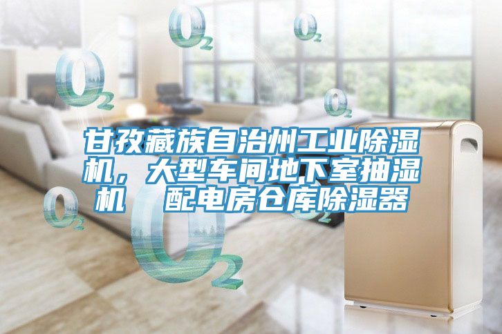 甘孜藏族自治州工业辣椒视频APP下载并安装，大型车间地下室抽湿机  配电房仓库除湿器