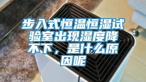 步入式恒温恒湿试验室出现湿度降不下，是什么原因呢