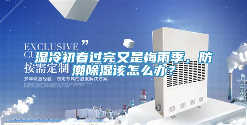 湿冷初春过完又是梅雨季，防潮除湿该怎么办？