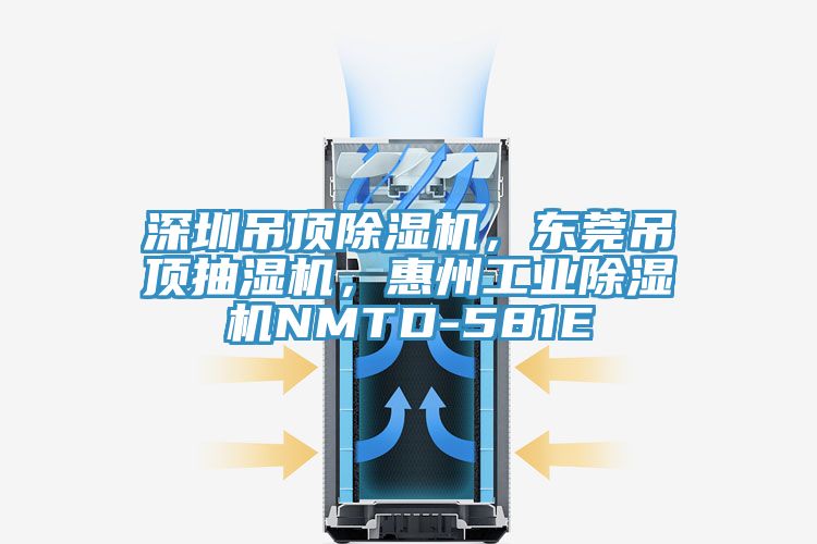 深圳吊顶辣椒视频APP下载并安装，东莞吊顶抽湿机，惠州工业辣椒视频APP下载并安装NMTD-581E
