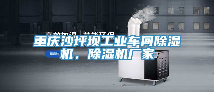 重庆沙坪坝工业车间辣椒视频APP下载并安装，辣椒视频APP下载并安装厂家