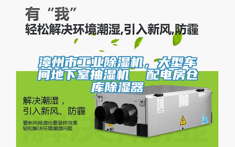 漳州市工业辣椒视频APP下载并安装，大型车间地下室抽湿机  配电房仓库除湿器