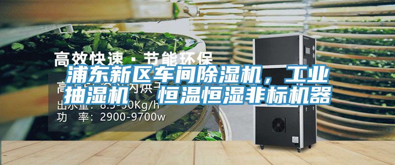 浦东新区车间辣椒视频APP下载并安装，工业抽湿机  恒温恒湿非标机器