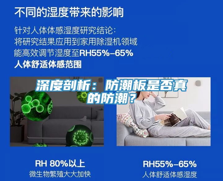 深度剖析：防潮板是否真的防潮？