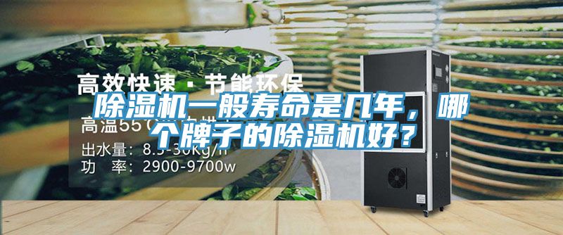 辣椒视频APP下载并安装一般寿命是几年，哪个牌子的辣椒视频APP下载并安装好？